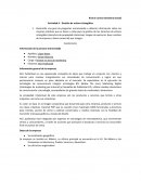 Actividad - Gestión de activos intangibles