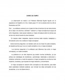 Actividades con los alumnos