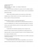 CRITERIO PROFESIONAL BOLETIN 2010