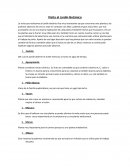 Informe sobre visita al jardín botánico