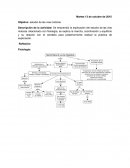 Objetivo: estudio de las vías motoras