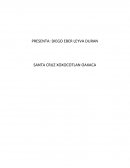 PRESENTA: DIEGO EBER LEYVA DURAN