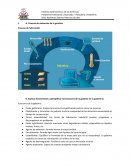 Proceso de obtención de la gelatina