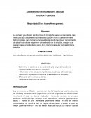 Informe De Laboratorio por Mayra Tejeda Jimenez