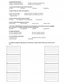 PRUEBA PLAN LECTOR 2015