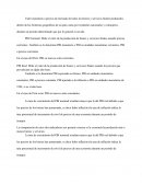 Producto bruto actividad