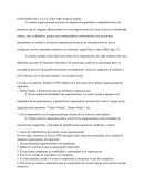 FUNCIONES DE LA CULTURA ORGANIZACIONAL