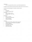 Segmentación e introducción Savory