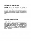 Analisis Historia de la empresa