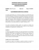 PLAN PERMANENTE REPETITIVO O CONTINUO