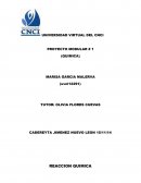 PROYECTO QUIMICA