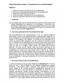 ASPECTOS MOLECULARES Y FUNCIONALES DE LOS ANTICUERPOS