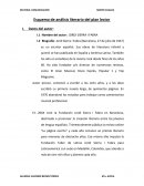 Esquema de análisis literario del plan lector