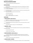PRACTICA DE TINCIÓN DE GRAM