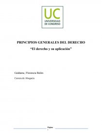 PRINCIPIOS GENERALES DEL DERECHO. Página 1