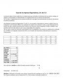 Problemas administración: Caso de la empresa Organissimo, S.A. de C.V.