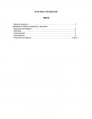 Plan inicial de negocios