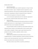 Acciones dirigidas a hacer sostenible la organización en el tiempo