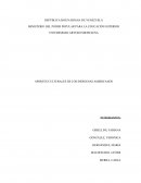 APORTES CULTURALES DE LOS INDIGENAS AMERICANOS