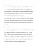 Pruebas Paleontológicas