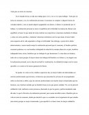 Todo gira en torno al consumo