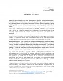 Opinión a la carta