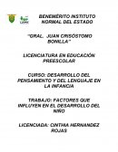 EL GRAN DESARROLLO DEL PENSAMIENTO Y DEL LENGUAJE EN LA INFANCIA