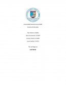 Generalidades plan de negocios