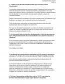 ¿Cuáles son los derechos fundamentales que reconoce nuestra Constitución? etc