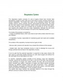 Ensayuo sobre Respiratory Sistem