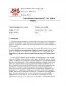 Generalidades, Importancia Y Usos De Las Plantas