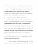 China´s Renminbi: De qué manera el tipo de cambio y su volatilidad tienen un impacto directo en la economía?