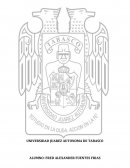 Actividades: Desarollo de sistemas de inteligencia comercial