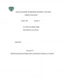 RESUMEN SOBRE IDENTIFICACION DECATIONES POR EL METODO DE ENSAYO A LA FLAMA