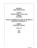 DESARROLLO DEL TRABAJO ACADEMICO