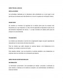 DIRECTRICES LÓGICAS