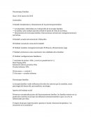 Fundamentos y dimensiones de la psicoterapia familiar