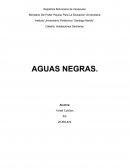 Definición de Instalaciones Sanitarias de Aguas Negras