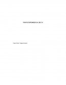 Yaya’s Cupcakes, micro emprendimiento de compra-venta