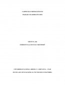 CAMPOS ELECTROMAGNÉTICOS TRABAJO