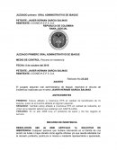 Ejemplo de Modelo Sentencia Judicial