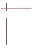 Avances de Encuesta y Segmentación de Mercado