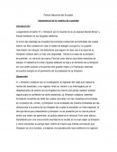 Importancia de la cadena de custodia