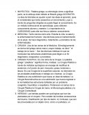 Significado de Mayeutica