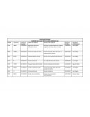 Camion Chevrolet NKR II