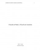 FILOSOFÍA DE PLATÓN Y FILOSOFÍA DE ARISTÓTELES