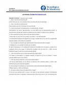 Actividad: geometria molecular