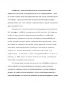 Critica arquitectonica