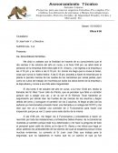 ASESORAMIENTO TECNICO