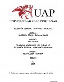 BIOLOGÍA GENERAL- ANATOMÍA HUMANA